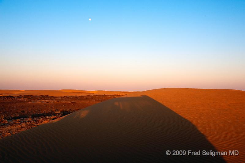 20090605_172041 D3 X1.jpg - Moon over the desert